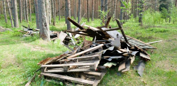 Clutter Removal Service
