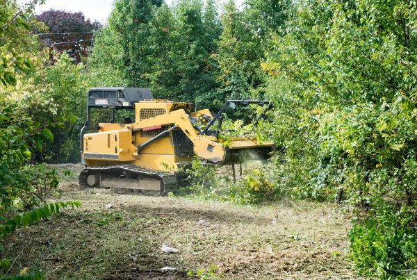 Property Clearance