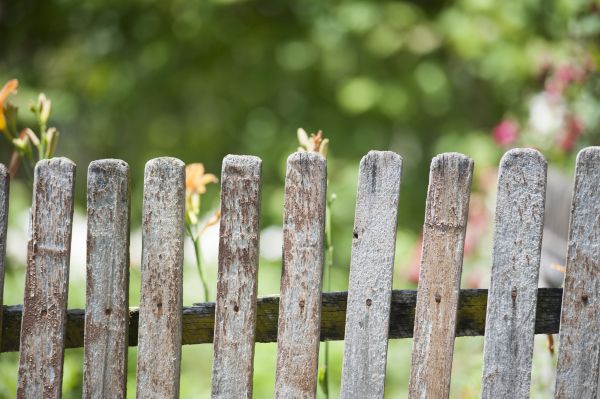 Fence Demolition