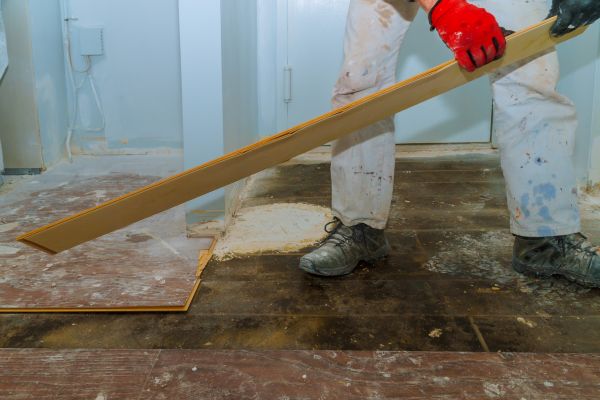 Basement Rug Disposal